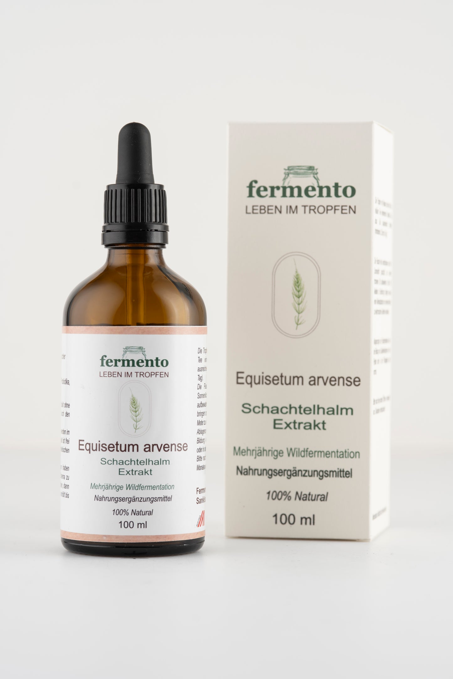 Schachtelhalm Extrakt