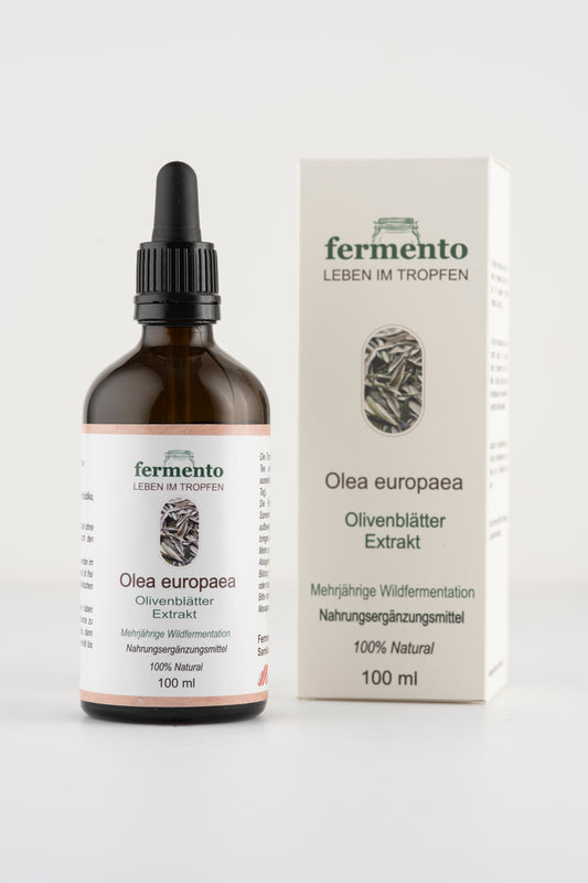 Olivenblätter Extrakt