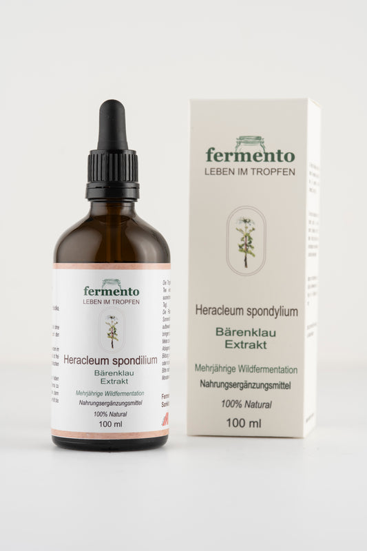 Bärenklau Extrakt