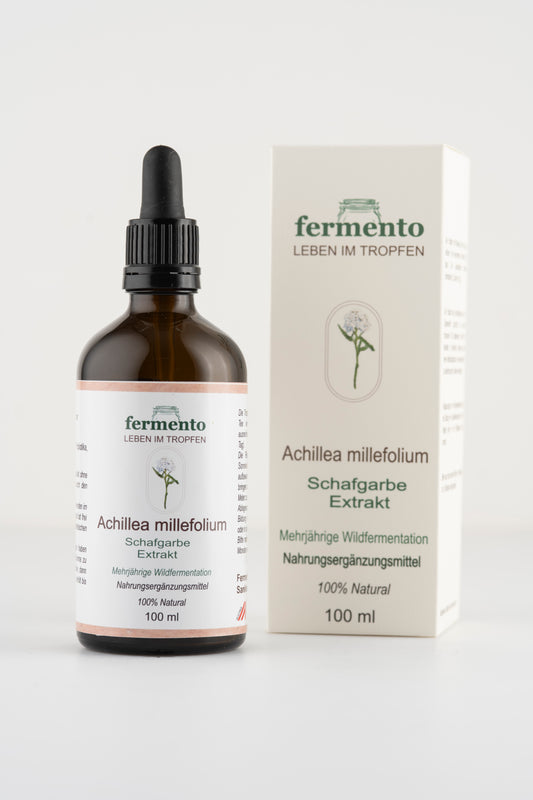 Extract de coada-șoricelului