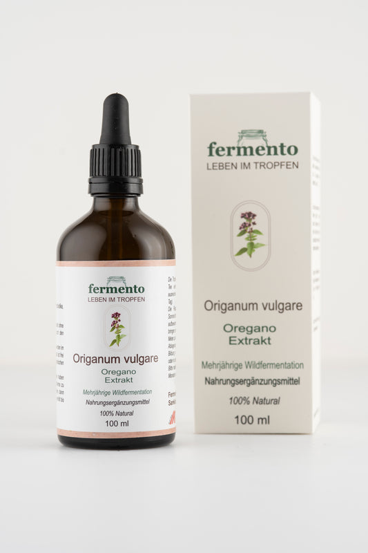 Oregano Extrakt